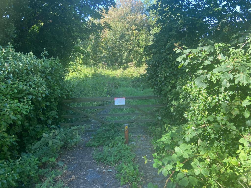Lot: 9 - APPROXIMATELY FOUR ACRES OF LAND WITH FUTURE POTENTIAL - Gate fronting Canterbury Road